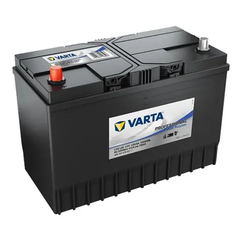 Lågt pris VARTA Professional Dual Purpose LFS120 Fritidsbatteri